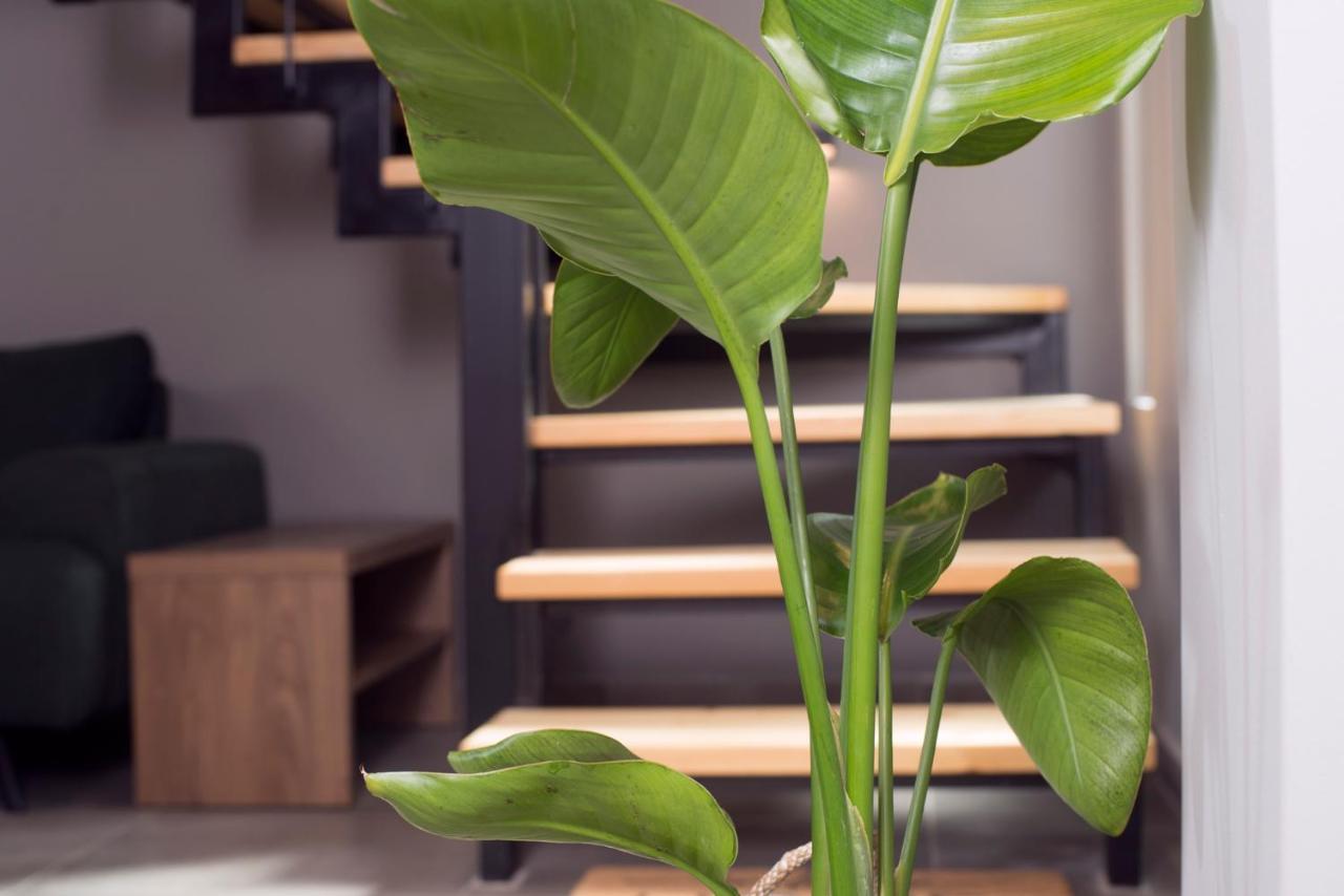Apertura Minima Living Space Next To Sea *